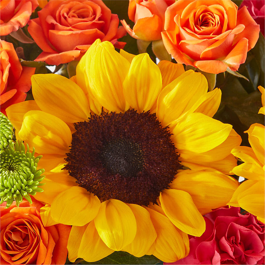 Sun-drenched Blooms Box Bouquet –  Platte Floral, Colorado Springs CO