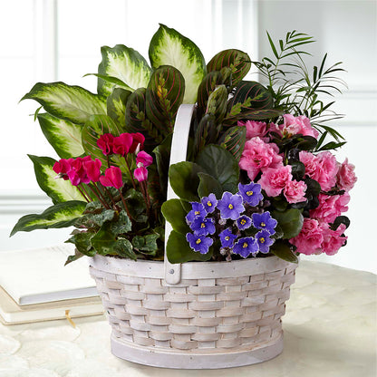 Peaceful Garden Planter –  Platte Floral, Colorado Springs CO