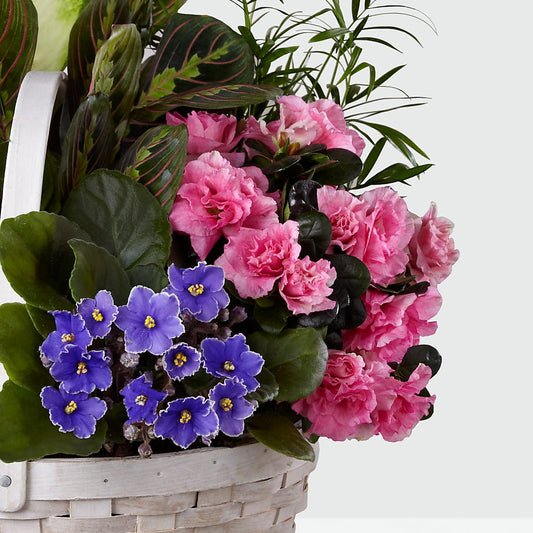 Peaceful Garden Planter –  Platte Floral, Colorado Springs CO