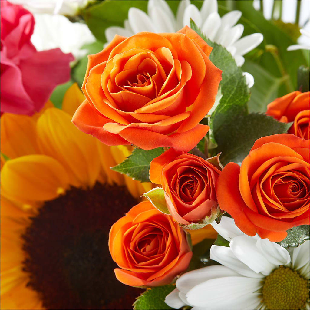 Sun-drenched Blooms Bouquet –  Platte Floral, Colorado Springs CO
