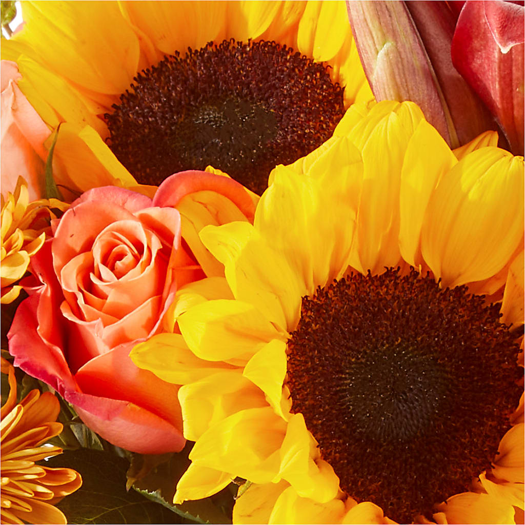 Acorn Lane Bouquet –  Platte Floral, Colorado Springs CO
