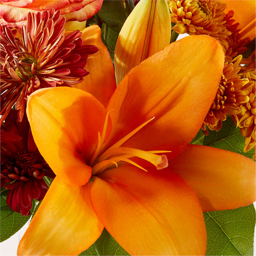 Autumnal Aroma Bouquet –  Platte Floral, Colorado Springs CO