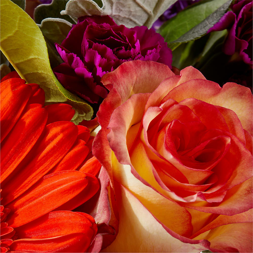 Sangria Bouquet –  Platte Floral, Colorado Springs CO
