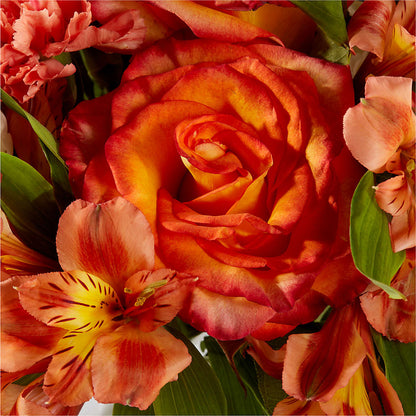 Apricot Glow Bouquet –  Platte Floral, Colorado Springs CO