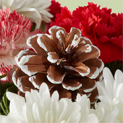 Candy Cane Lane Bouquet –  Platte Floral, Colorado Springs CO