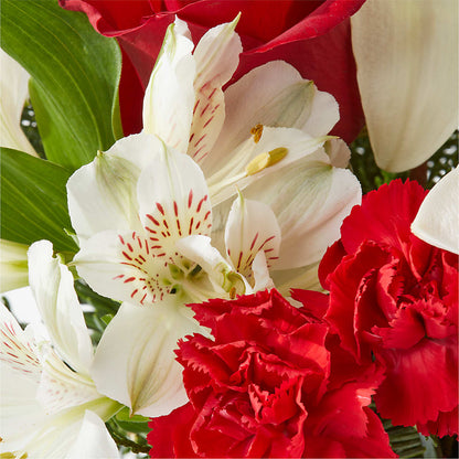 Holiday Season Bouquet –  Platte Floral, Colorado Springs CO