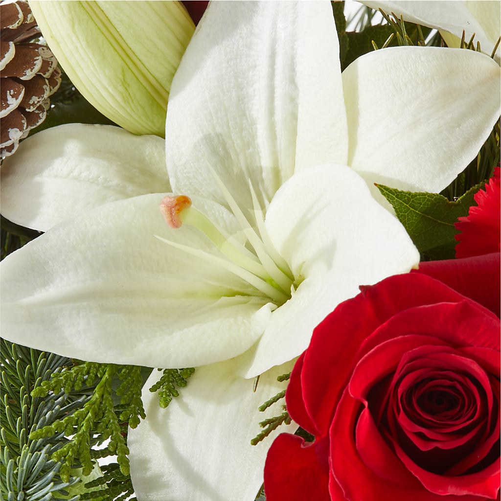 Oh So Jolly Bouquet –  Platte Floral, Colorado Springs CO