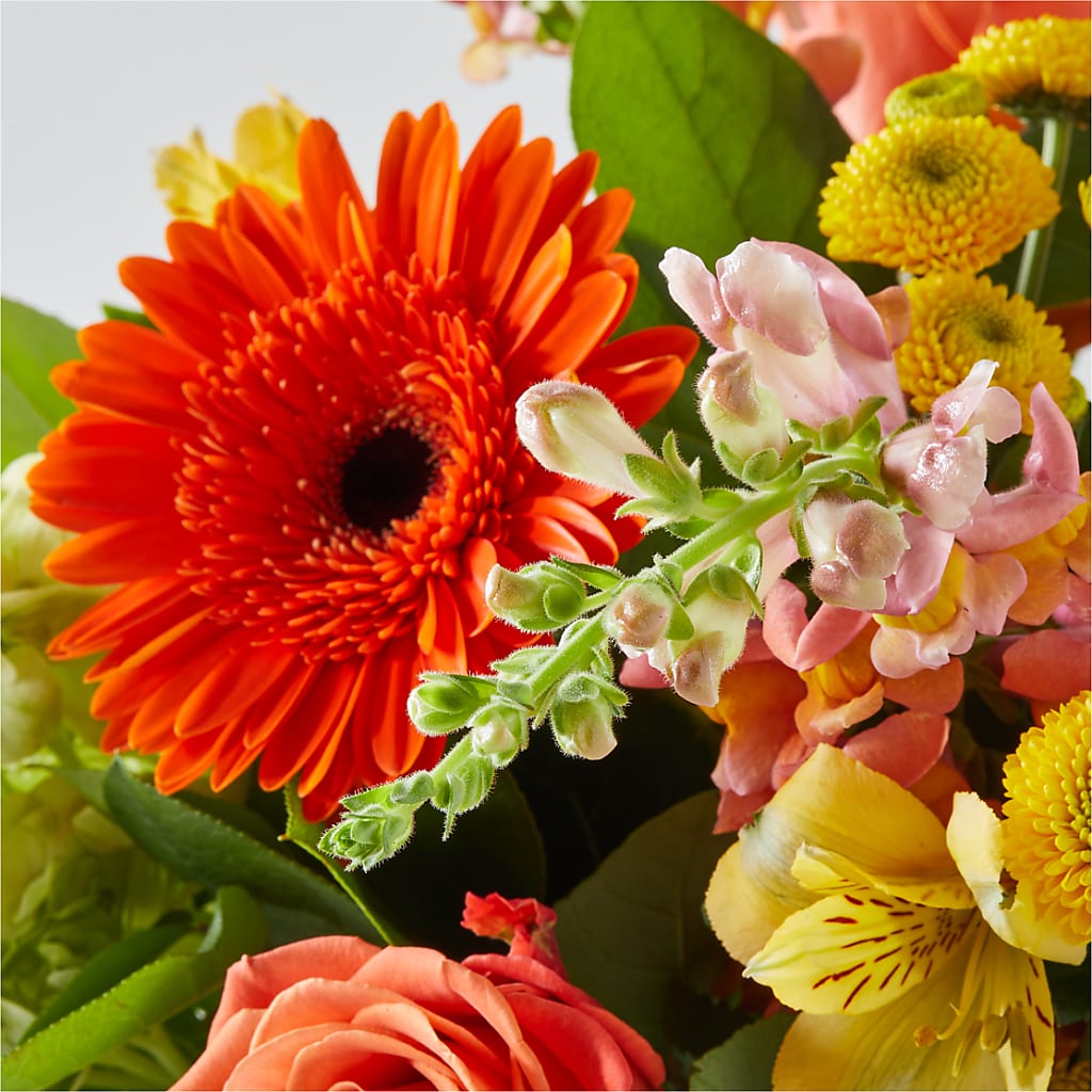 Autumn Sunshine Bouquet –  Platte Floral, Colorado Springs CO