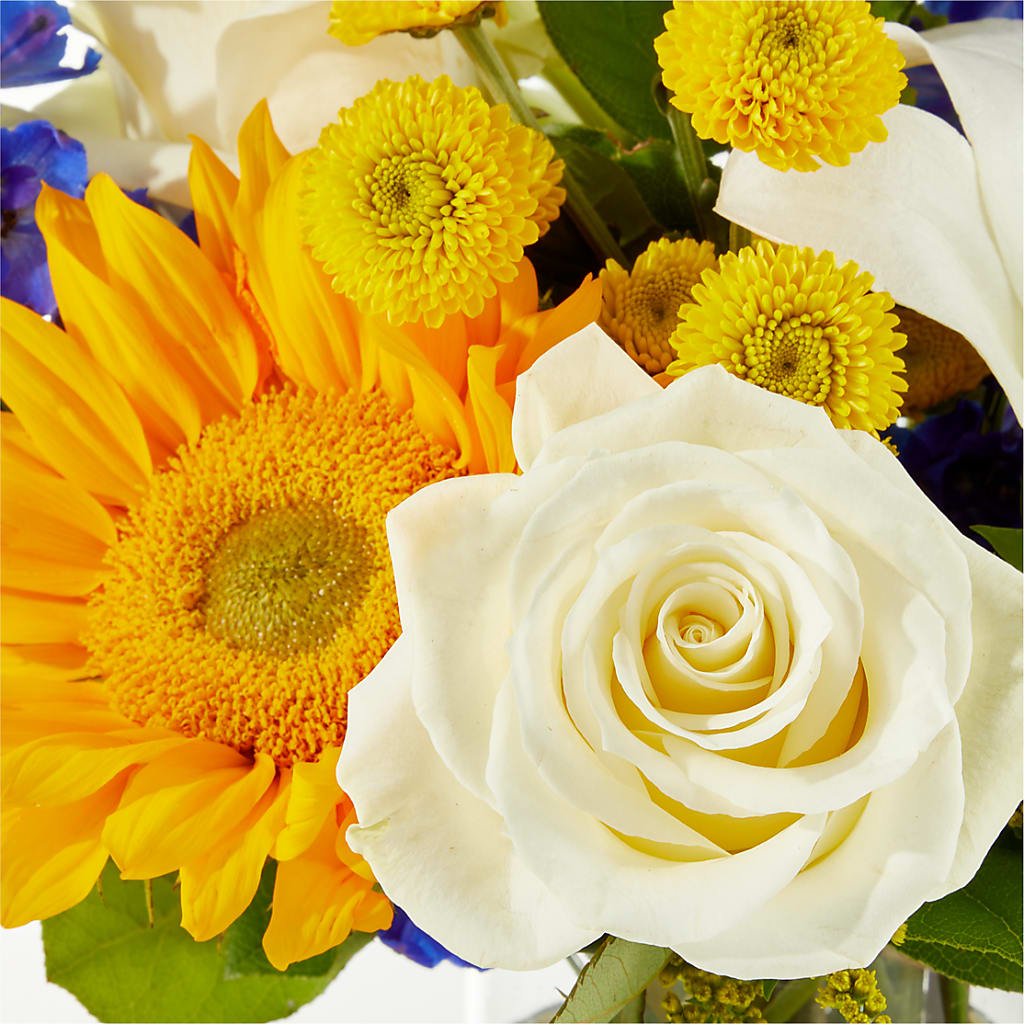 Stargazing Bouquet –  Platte Floral, Colorado Springs CO