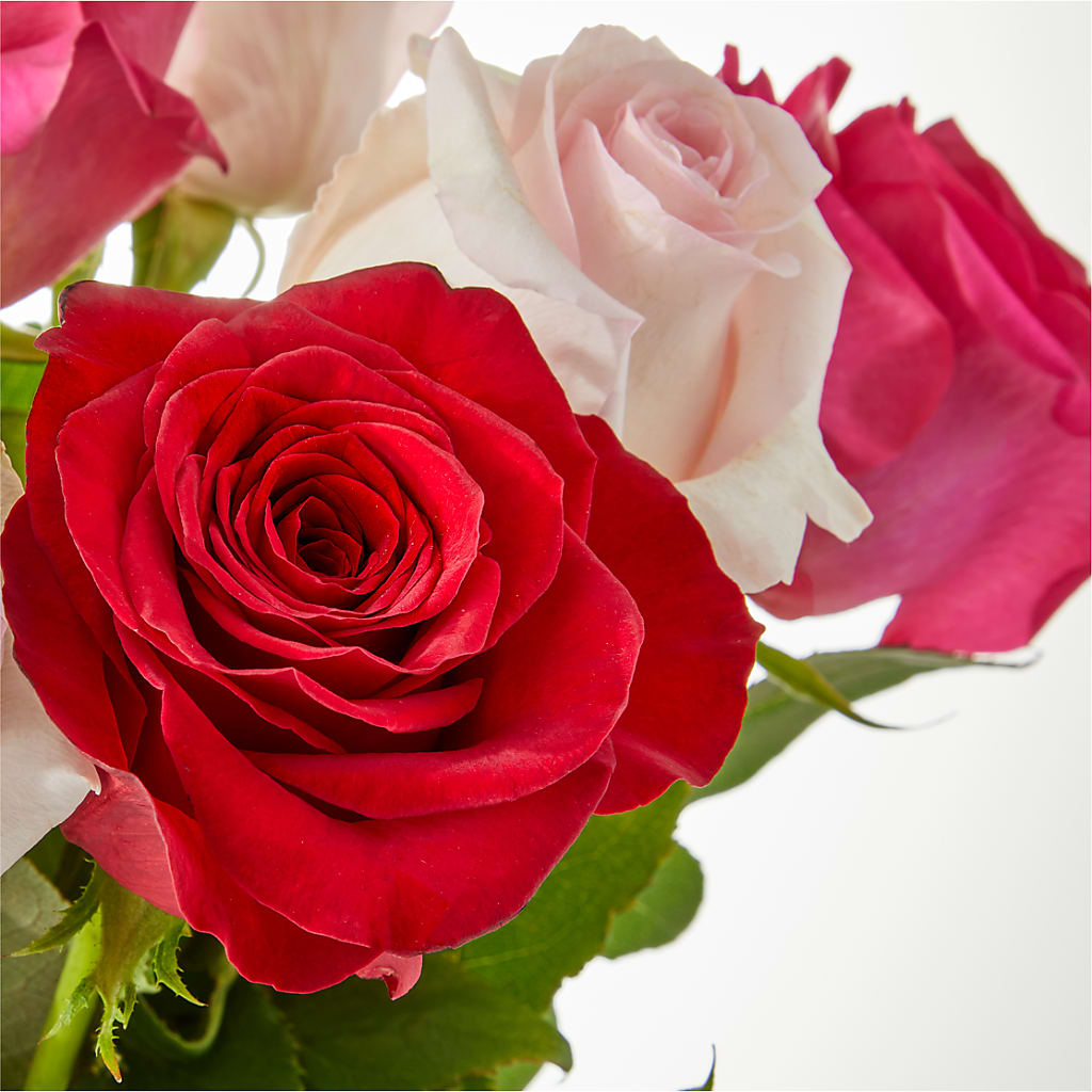 Charming Rose Bouquet –  Platte Floral, Colorado Springs CO