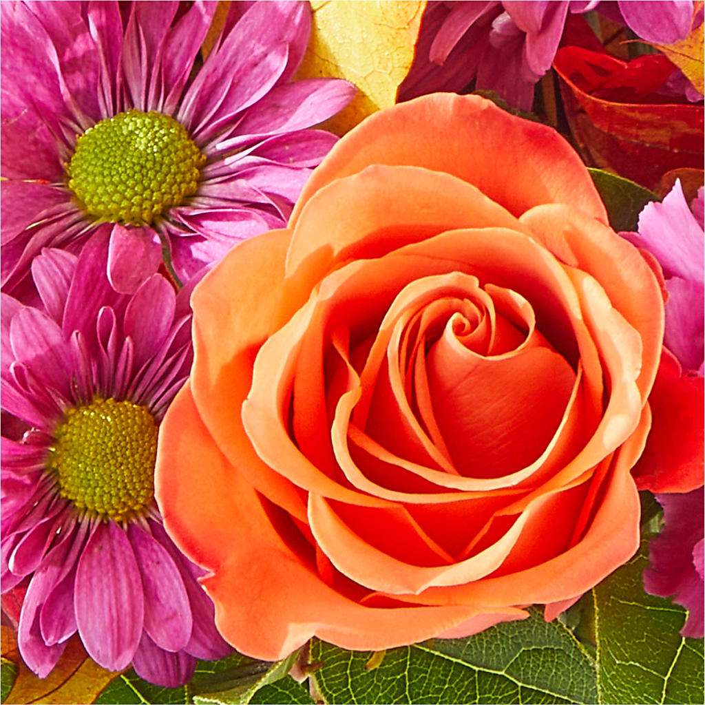 Mum's the Word Bouquet –  Platte Floral, Colorado Springs CO