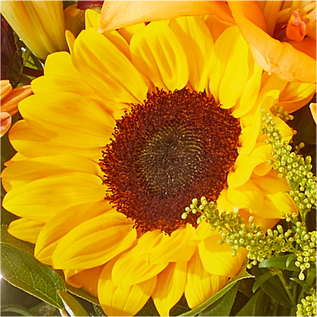 Seasons Change Bouquet –  Platte Floral, Colorado Springs CO