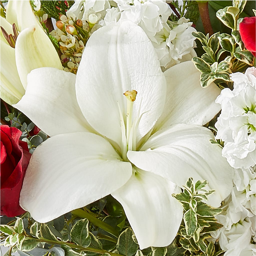 Twinkle Lights Bouquet –  Platte Floral, Colorado Springs CO