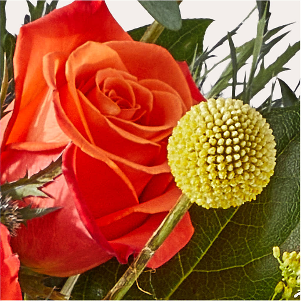 Disco Bouquet –  Platte Floral, Colorado Springs CO
