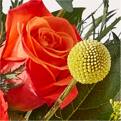 Disco Bouquet –  Platte Floral, Colorado Springs CO