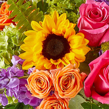 Vibrant Greetings Bouquet –  Platte Floral, Colorado Springs CO