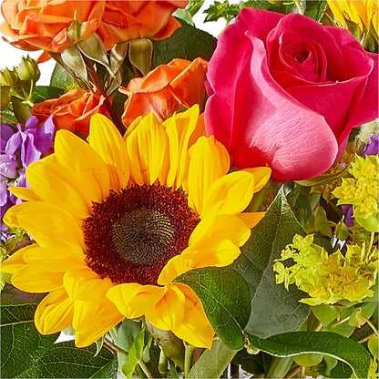 Vibrant Greetings Bouquet –  Platte Floral, Colorado Springs CO