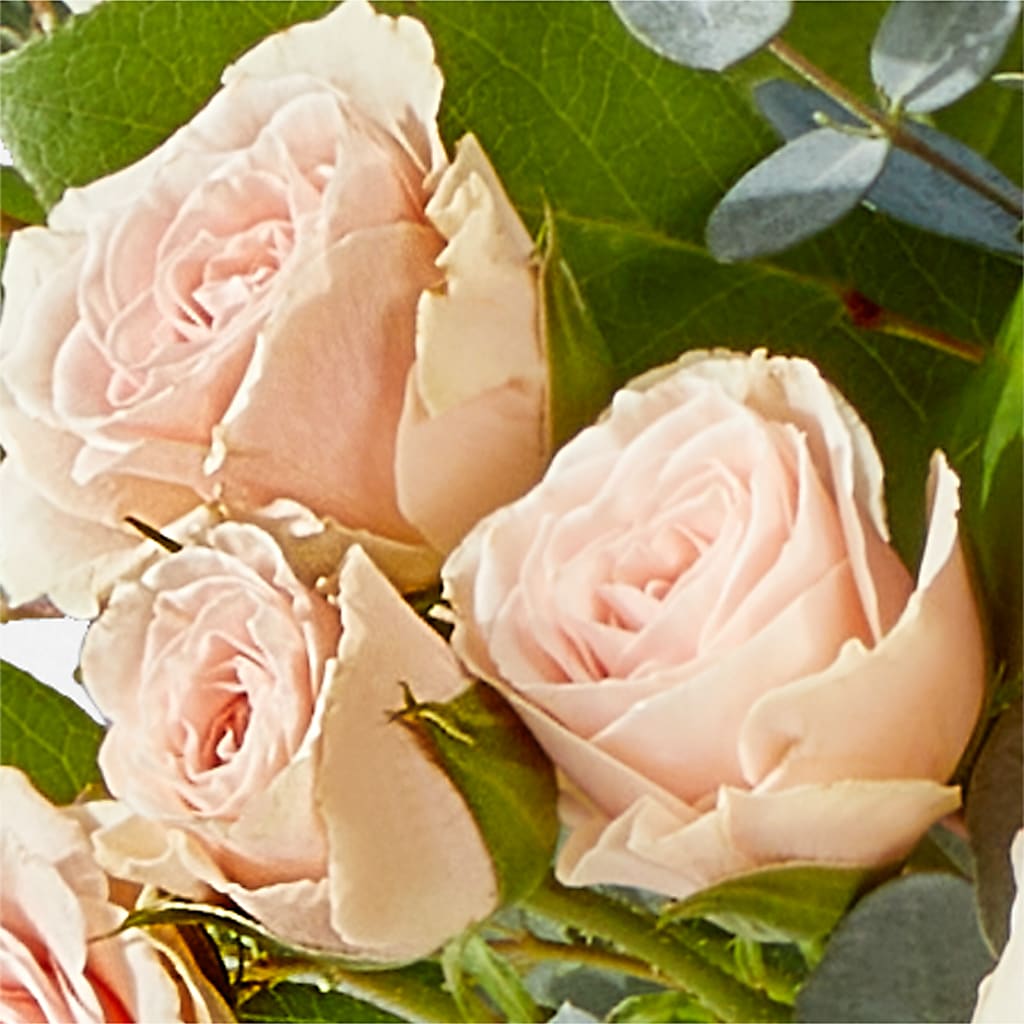 Inspired Bouquet –  Platte Floral, Colorado Springs CO