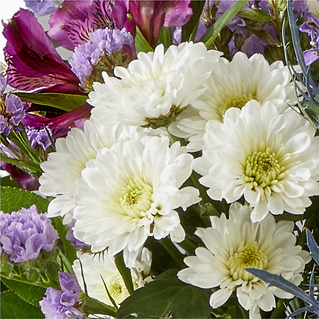 Shooting Star Bouquet –  Platte Floral, Colorado Springs CO