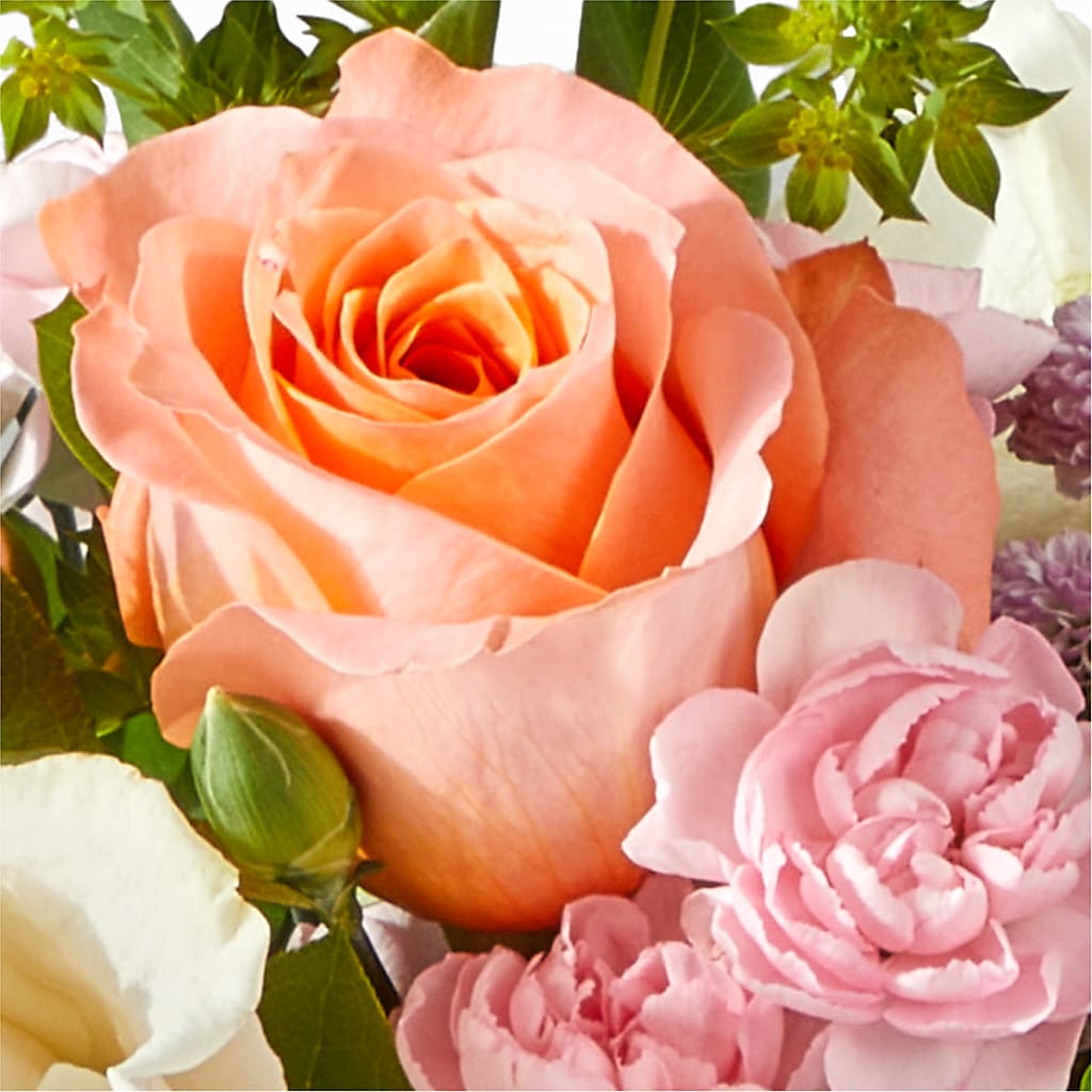 French Market Bouquet –  Platte Floral, Colorado Springs CO