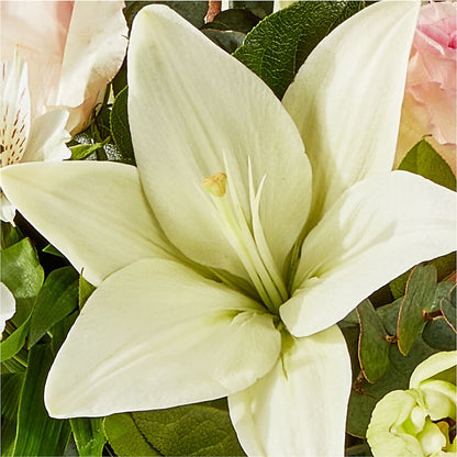Ballet Slippers Bouquet –  Platte Floral, Colorado Springs CO