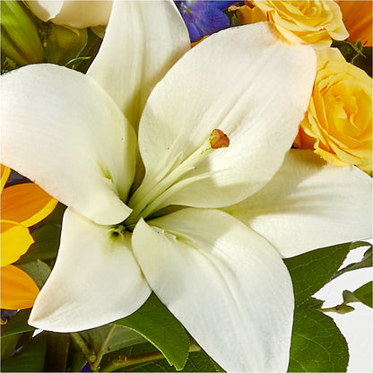 Wonderfully Sunny Bouquet –  Platte Floral, Colorado Springs CO