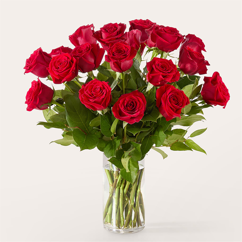 The One Red Rose Bouquet –  Platte Floral, Colorado Springs CO
