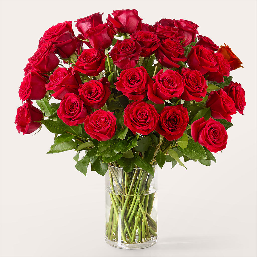 The One Red Rose Bouquet –  Platte Floral, Colorado Springs CO