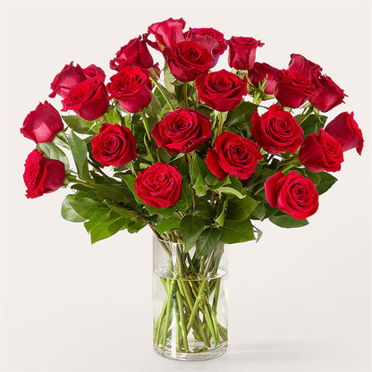 The One Red Rose Bouquet –  Platte Floral, Colorado Springs CO