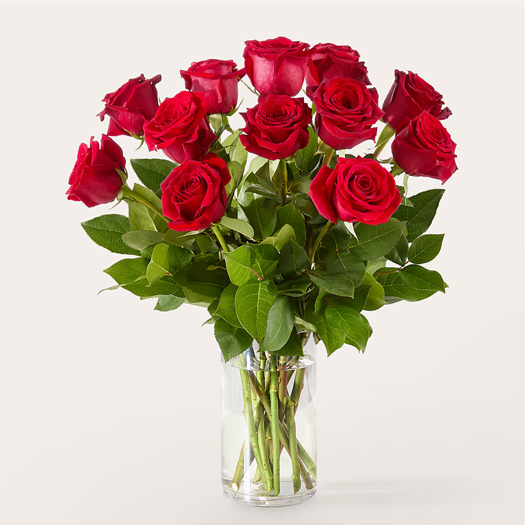 The One Red Rose Bouquet –  Platte Floral, Colorado Springs CO