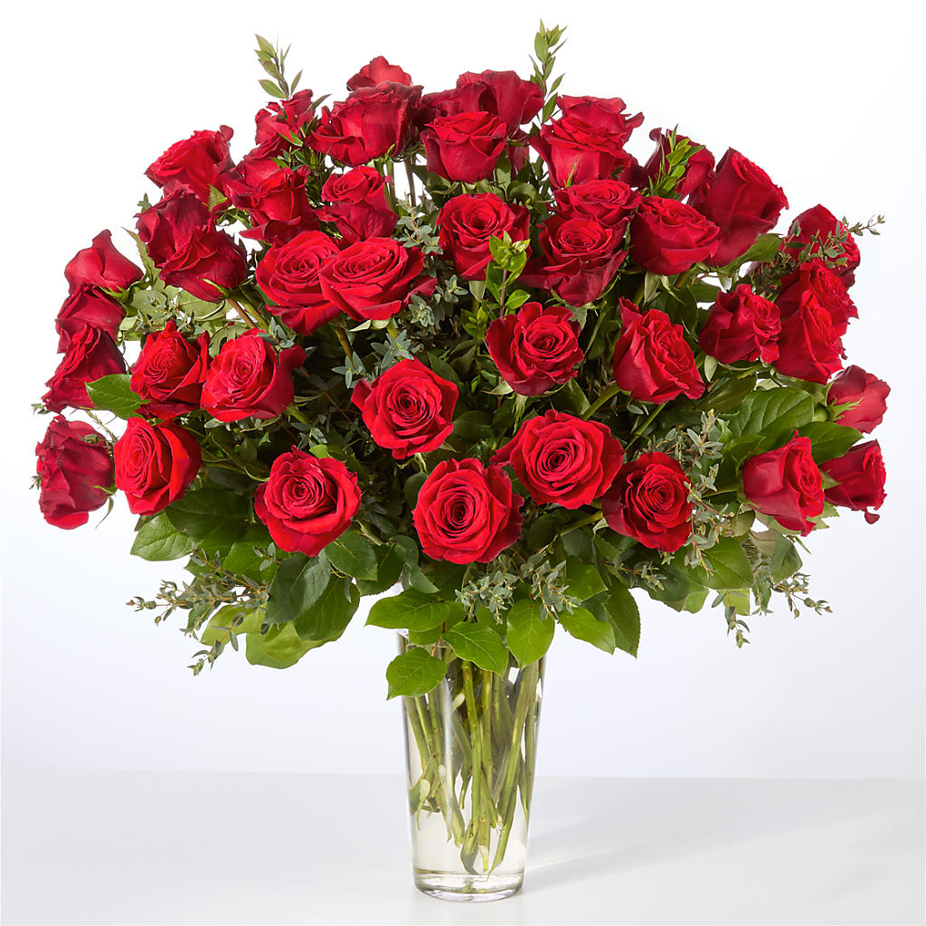 Forever Yours Fifty Stem Red Rose Bouquet –  Platte Floral, Colorado Springs CO