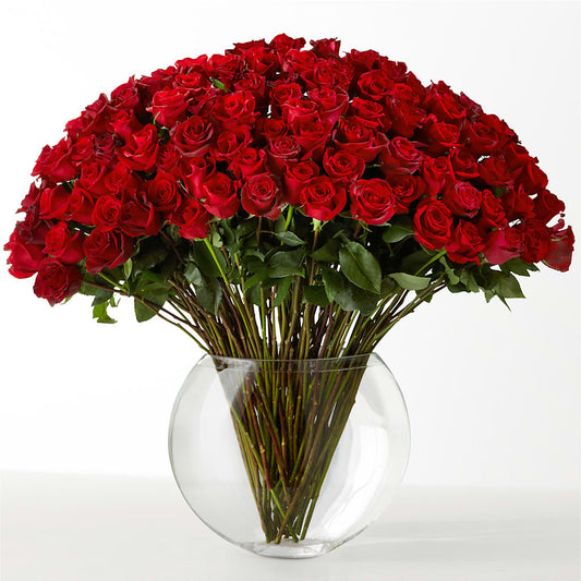 The Idealist –  Platte Floral, Colorado Springs CO