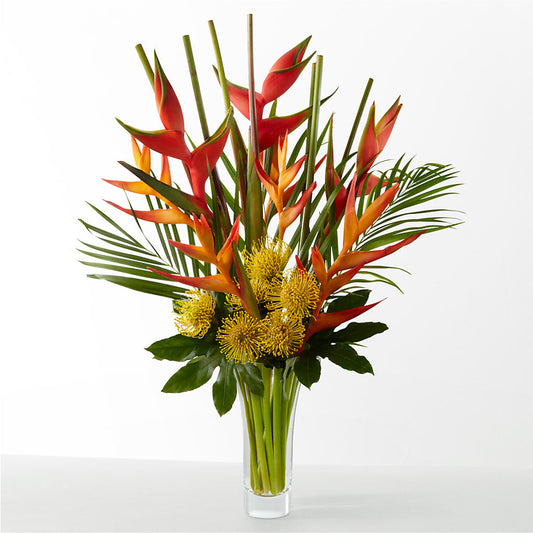 The Drama –  Platte Floral, Colorado Springs CO