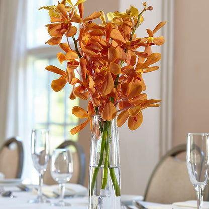 Orange Mokara Bud Vase –  Platte Floral, Colorado Springs CO