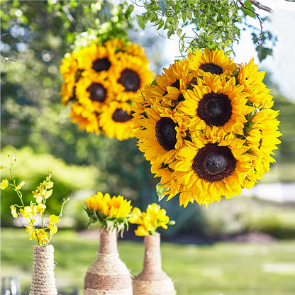 Sublime Garden Hanging Arrangement –  Platte Floral, Colorado Springs CO