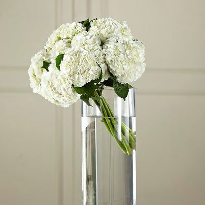 White Hydrangea Hand-Tied Bouquet –  Platte Floral, Colorado Springs CO