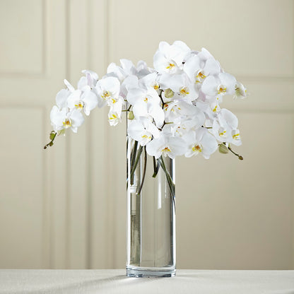 White Phalaenopsis Bouquet –  Platte Floral, Colorado Springs CO