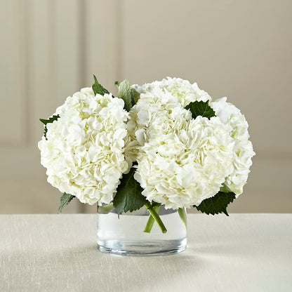 White Hydrangea Bouquet –  Platte Floral, Colorado Springs CO