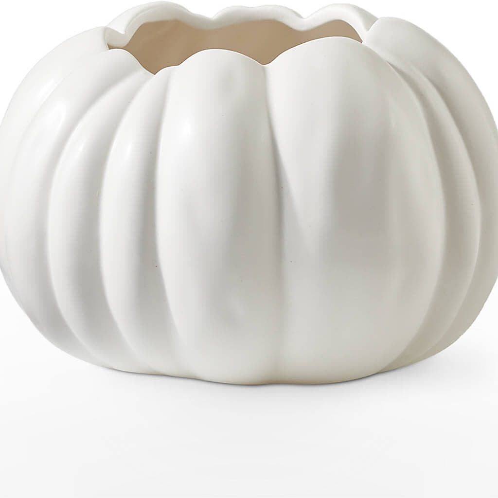 Autumn Air Pumpkin Bouquet –  Platte Floral, Colorado Springs CO